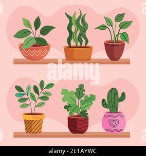 bundle of six house plants in ceramic pots over shelf Stock Vector