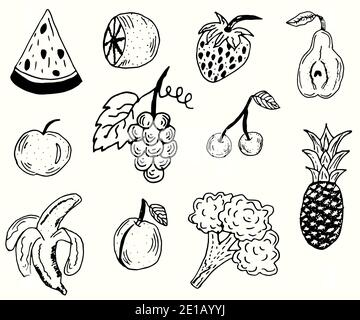 Set of hand-drawn fruits and vegetables. Linear vector illustration in the same style Stock Vector