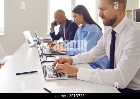 Business people working together in the office, sitting in a row in front of laptops. Stock Photo