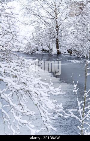 Winter landscape forest and frozen river. tree branch under snow in winter snowing day Stock Photo