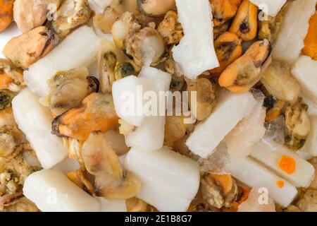 Seafood mix on white background Stock Photo