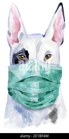 Cute Dog in medical mask. Dog T-shirt graphics. watercolor bull terrier illustration Stock Photo