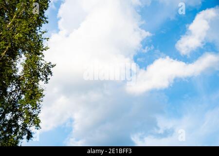 Soft cloud texture on blue sky background Stock Photo