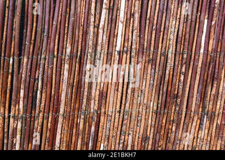 Texture of a fence made of sticks. Stock Photo