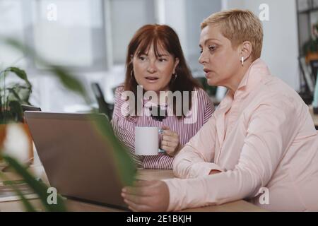 Beautiful mature businesswoman working on the laptop with her female colleague. Two experienced female entrepreneurs discussing work, using computer. Stock Photo