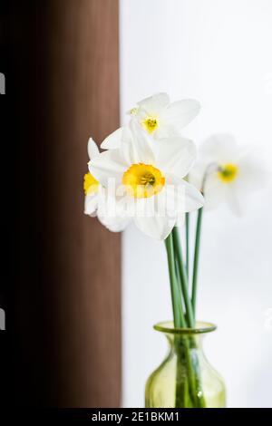 bunch of daffodils in vase isolated on white background Stock Photo