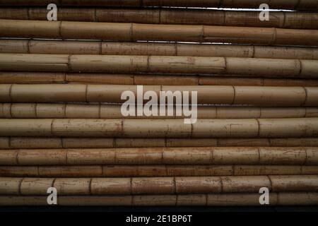 Fence made from bamboo pipes Stock Photo