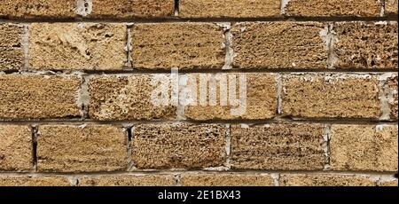 brick from shells Texture background , wall is made of shells brick Stock Photo