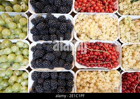 Gooseberry, blackberry, red currant and white currant prepared for sale in the market Stock Photo