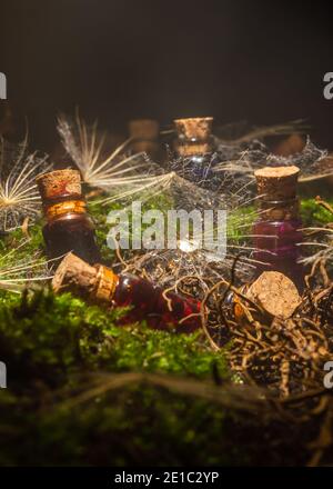 Close-up fantasy scene of a dandelion seed with a drop of water surrounded by glass mini bottles filled with colorful liquid in the mist. Stock Photo