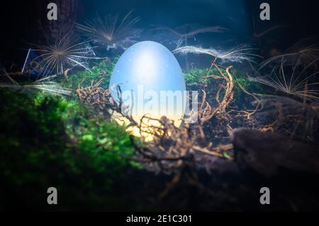 Close-up fantasy scene of a white opaque egg in a beam of light. It's surrounded by dandelion seeds and rests on a bed of moss, dirt and roots. Stock Photo