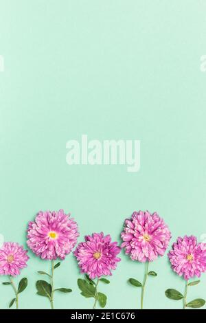 Flowers composition. Creative layout made with violet flowers on pastel green background. Flat lay. Spring minimal concept. Stock Photo