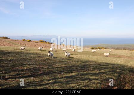 Ayr, Ayrshire, Scotland, UK, View of the Isle of Arran & Ayrshire from the Carrick Hills Stock Photo