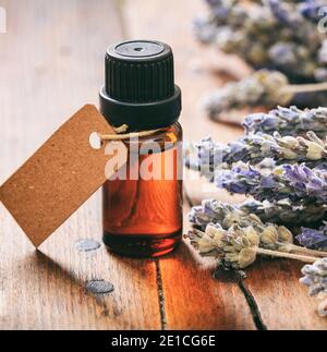 Lavender bunch and essential oil on wooden background. Lavandula common name lavender is a purple color flowering plant used as culinary herb Stock Photo