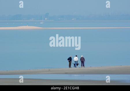Walkers with dog on West Wittering Beach at low tide, Chichester, West Sussex, England, UK.  March.  Hazy morning. Hayling Island, Hampshire, beyond. Stock Photo