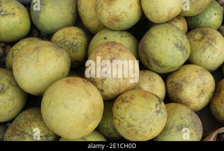 many fresh pears in the shop with pears background. Stock Photo