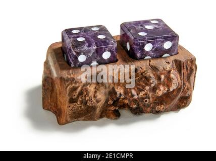 Pair of purple dice in wooden holder designed by Anna Rabinowicz photographed on a white background Stock Photo