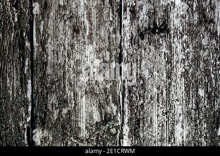 Dark Black Wood Texture Background Stock Photo