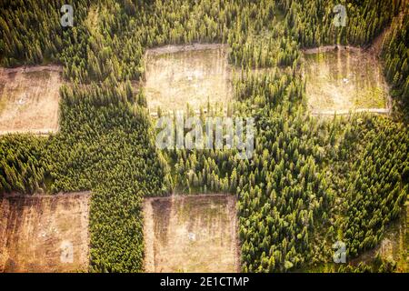 Boreal forest trees clear felled to make way for a new tar sands mine north of Fort McMurray, Alberta, Canada. The Alberta tar sands are the largest i Stock Photo