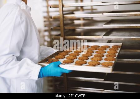 Closeup of employee holding fresh made cookies in food factory. Stock Photo