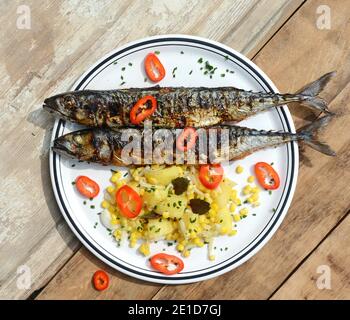 Grilled Mackerel fish on a white plate. Fatty, oily fish is an excellent and healthy source of DHA and EPA, which are two key types of omega-3 acid. Stock Photo