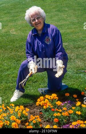 Smiling senior woman in her backyard on a summer day Stock Photo - Alamy