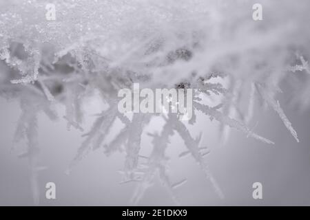 Close-up of sharp rime ice crystals and frost on tree branch Stock Photo