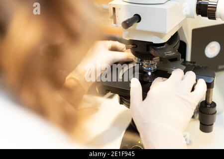 analysis of a sample using a microscope Stock Photo