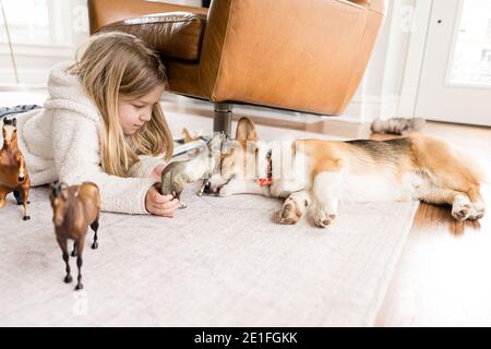 side view of blond girl playing with toy horses with corgi dog asleep Stock Photo