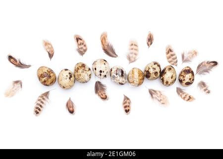 Quail eggs and bird feathers on a white background. Top view Flat lay Copy space. Stock Photo
