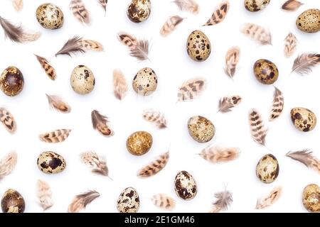 Pattern made with quail eggs and bird feathers on a white background. Top view Flat lay. Stock Photo