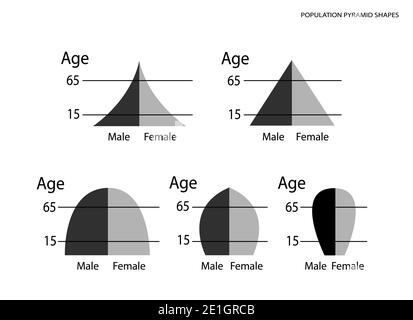 Population and Demography, Illustration Set of 5 Types of Population Pyramids Chart or Age Structure Graph Isolated on White Background. Stock Photo