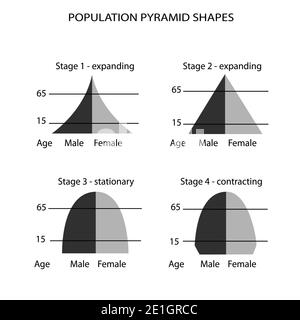 Population and Demography, Illustration Set of 4 Types of Population Pyramids Chart or Age Structure Graph Isolated on White Background. Stock Photo