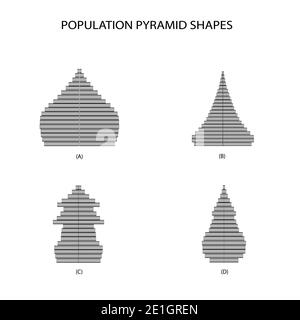 Population and Demography, Illustration of 4 Types of Population Pyramids Chart or Age Structure Graph Isolated on White Background. Stock Photo