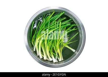 Isolated Spring onions or scallions soaked in water in a stainless steel bowl, top view image on white background. Stock Photo