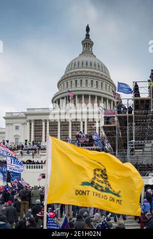 January 6th 2021. Capitol Hill Rioters with Don't Tread On Me Flag near scaffolding built for Biden Inaugural. US Capitol Building  Washington DC.USA Stock Photo