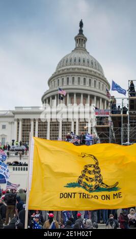 January 6th 2021. Capitol Hill Rioters with Don't Tread On Me Flag near scaffolding built for Biden Inaugural. US Capitol Building  Washington DC.USA Stock Photo