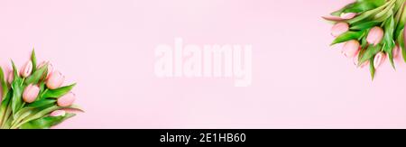 Tulips on a pink background. Easter and spring concept. Top view banner with copy space flat lay greeting card. Stock Photo