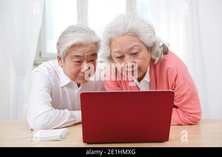 The happy old couple are using laptops high quality photo Stock Photo