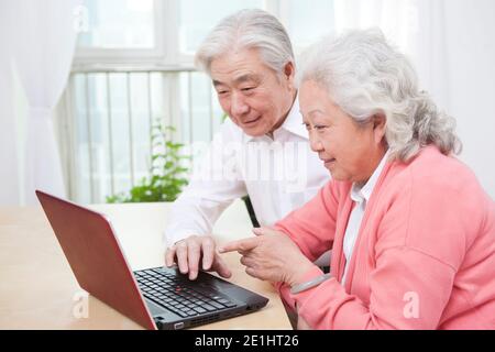 The happy old couple are using laptops high quality photo Stock Photo