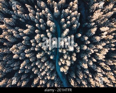 High quality aerial photo of a road leading through the deep forest covered in the snow in the central Europe. Arctic aerial winter in the woods