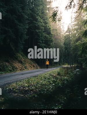 A young guy wandering into the woods. Young roamer. Lifestyle photography in the deep green forest with yellow jacket Stock Photo
