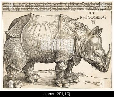 Albrecht Dürer, Rhinoceros, Renaissance woodcut print, 1515 Stock Photo