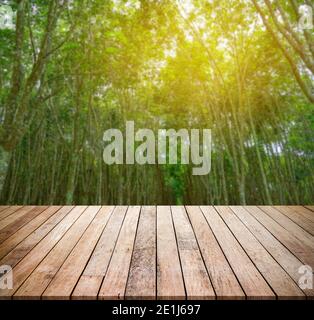 Old wood plank with abstract rubber plantation blurred background for product display Stock Photo
