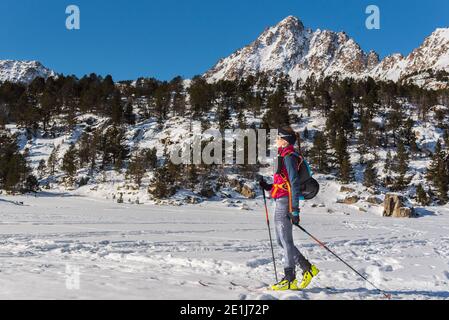 Young woman practicing ski touring during a snowfall in the woods Stock ...