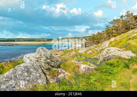 View at the Village Marazion seen from St.Michaels Mount, Cornwall, England Stock Photo