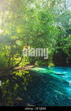 Magical emerald pool in the lowland forest on summer morning, sunrise shines through wild trees on surface of turquoise freshwater. Krabi, Thailand. Stock Photo