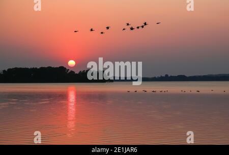 Sunsets in Malente am Dieksee are particularly romantic because you can watch this natural spectacle particularly well. Stock Photo