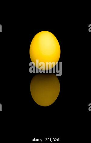 Golden egg with reflection, isolated on black background. Stock Photo