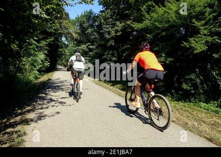 People ride a bicycle on a bike path in the floodplain forest along the Dyje River Moravia Czech Republic bike ride in the woods Stock Photo